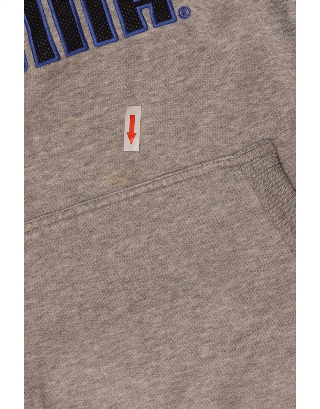 Puma Pull à Capuche Graphique Homme Petit Gris Moucheté