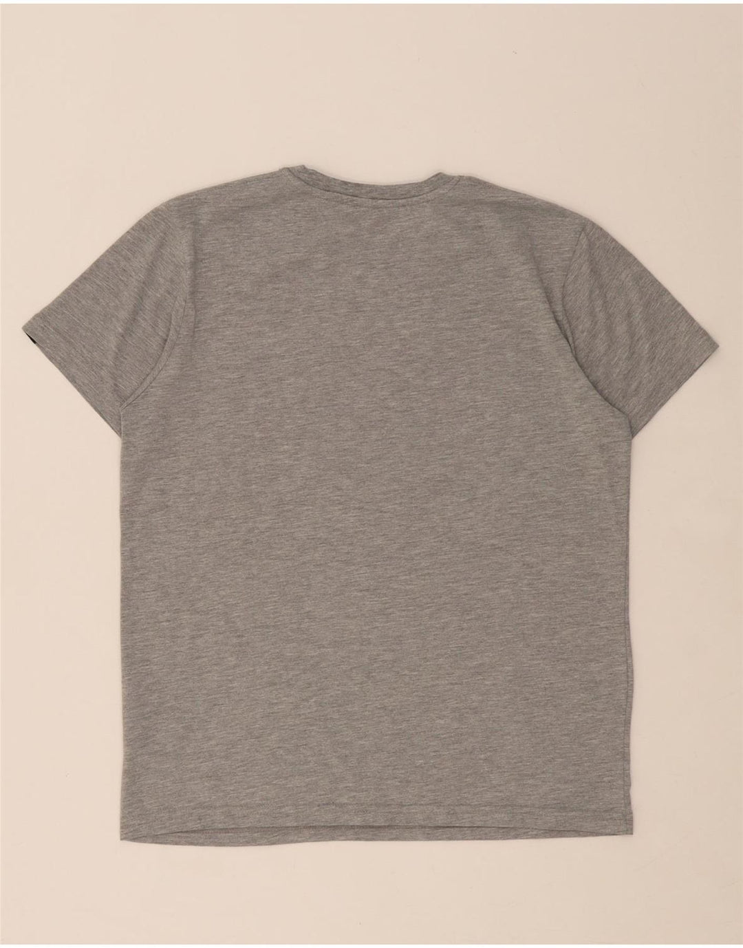 ALPHA INDUSTRIES Mens Graphic T-Shirt Top Small Grey Cotton Vintage Alpha Industries and Second-Hand Alpha Industries from Messina Hembry 