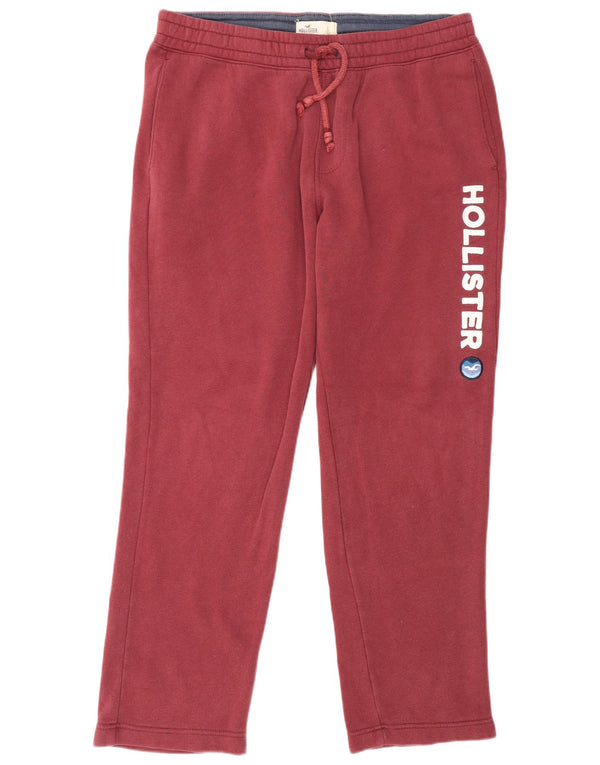Hollister Pantalon de survêtement graphique pour homme Large en coton bordeaux