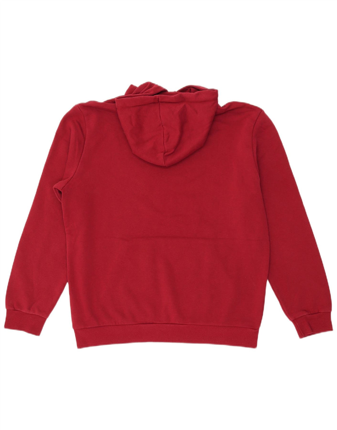PUMA Pull à capuche graphique pour homme en coton marron moyen
