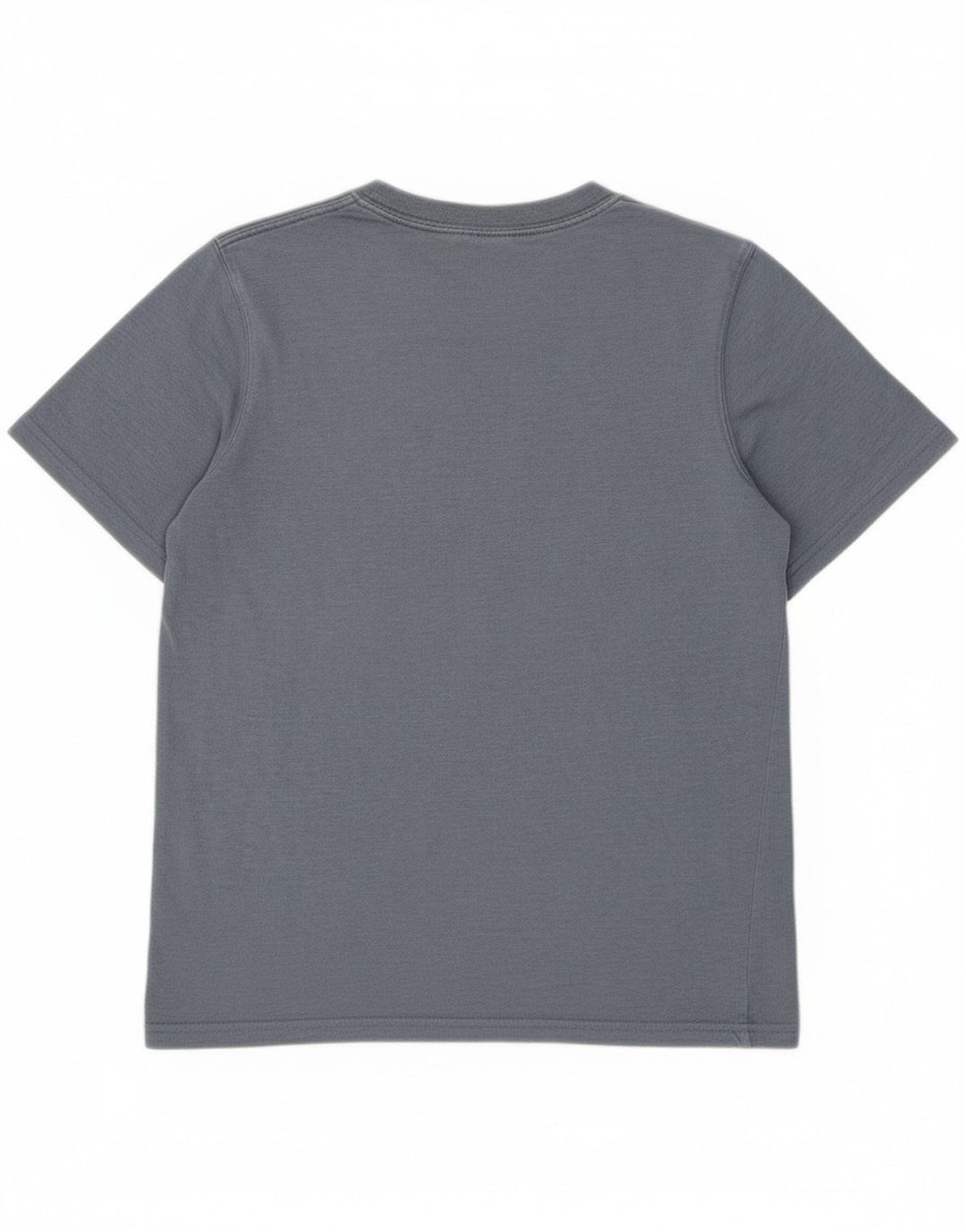 T-Shirt Graphique Animal Garçon 11-12 ans Bleu Coton