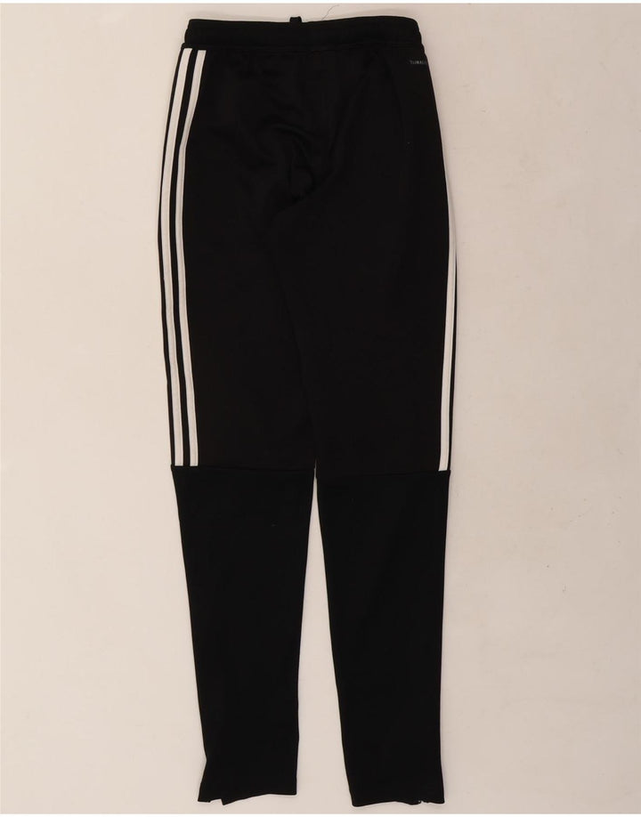 ADIDAS Pantalon de Survêtement Climalite Homme XS Noir Polyester