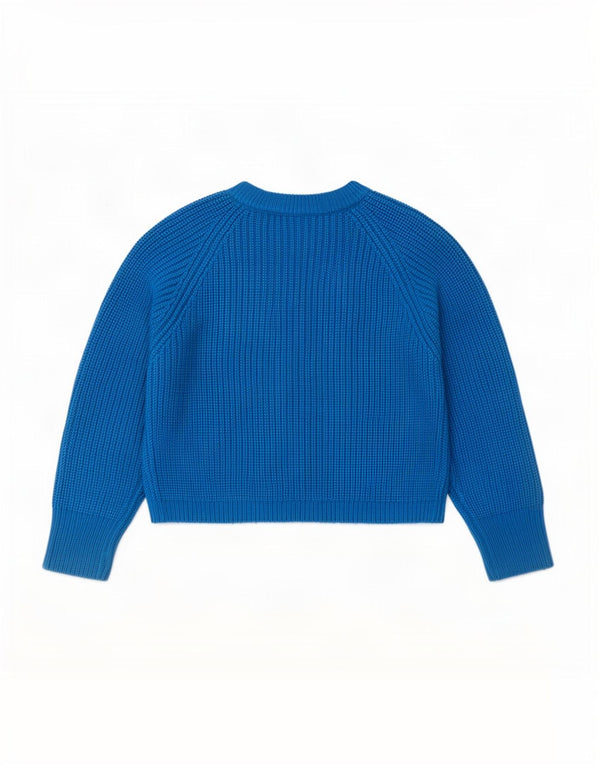 Zara Womens Crop Crew Neck Jumper Sweater UK 10 Petit Bleu Acrylique