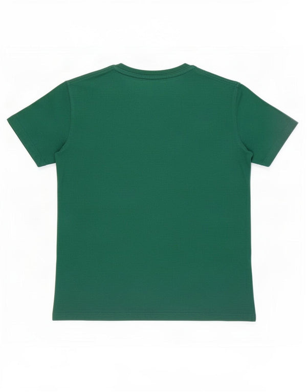 U.S. Polo Assn. T-shirt graphique pour hommes, haut petit, vert colour block