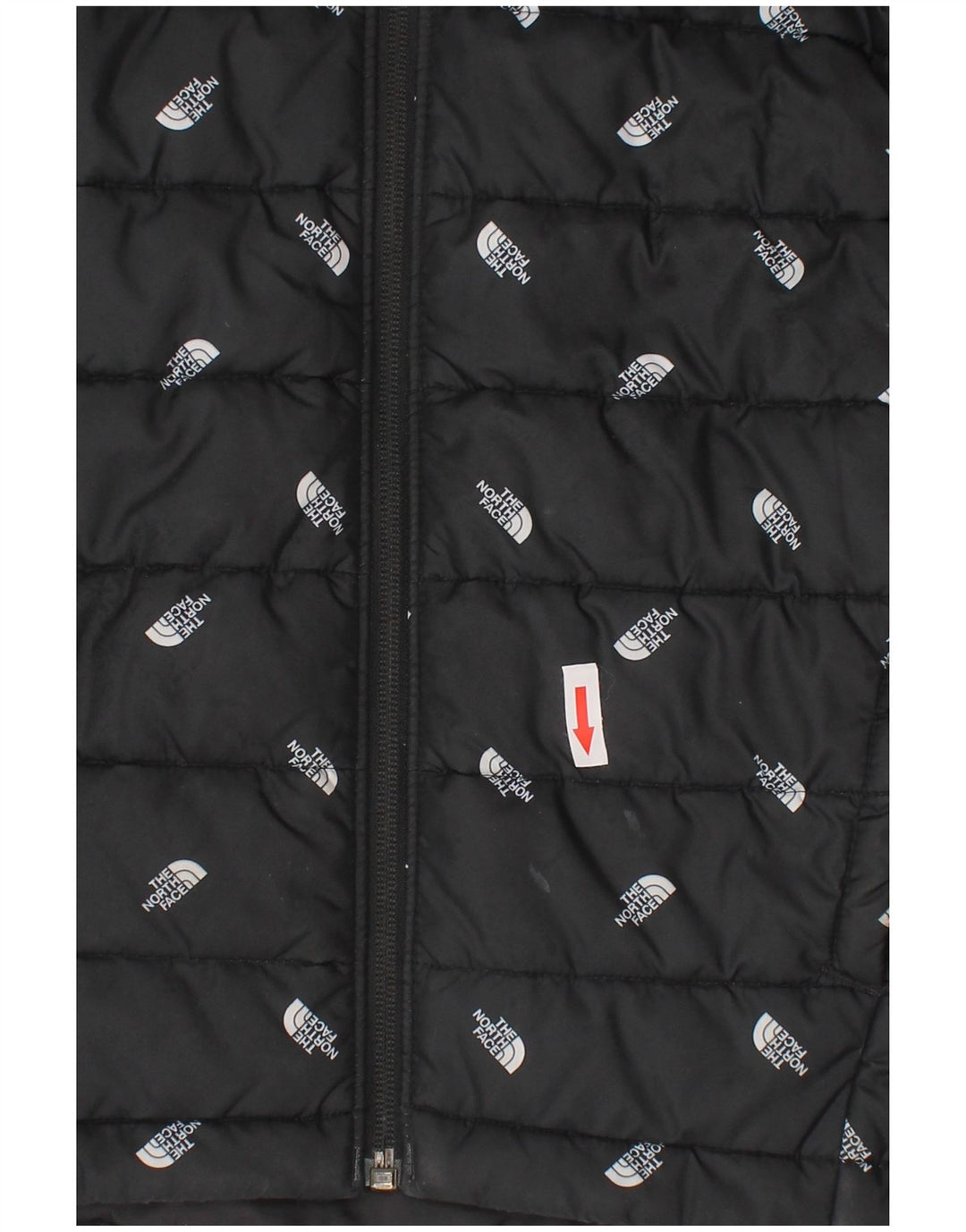 The North Face Veste matelassée à capuche graphique pour garçon 9-10 ans Noir moyen