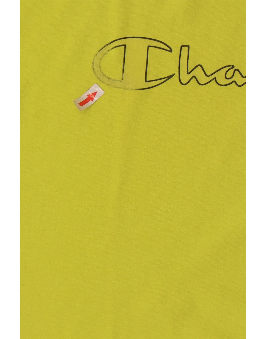 Champion T-Shirt Graphique Homme Vert Moyen Coton