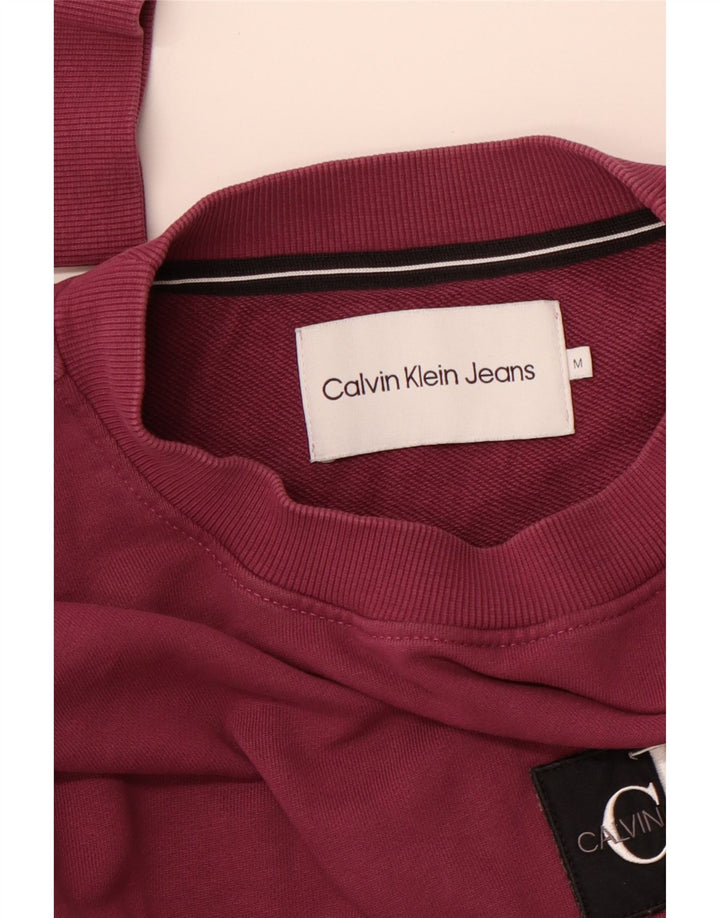 CALVIN KLEIN JEANS Pull Graphique Sweatshirt Homme Violet Moyen