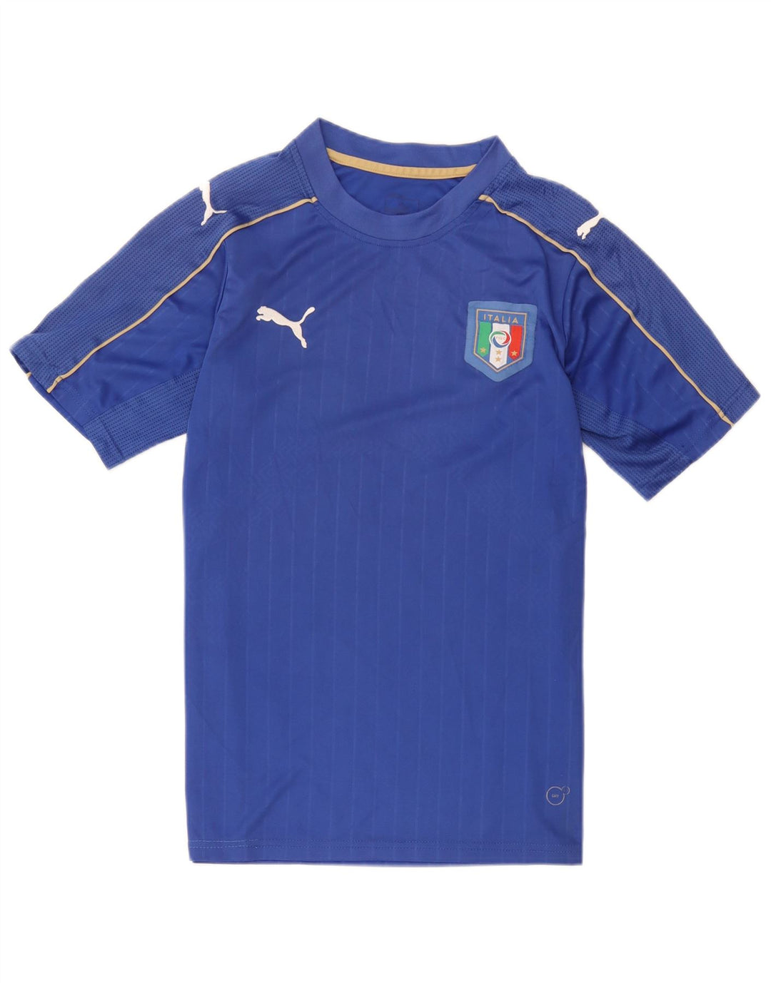 Puma Tee-Shirt Italia Graphic Homme Bleu Moyen Polyester