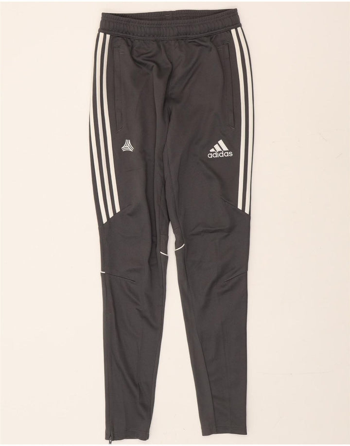 Adidas Pantalon de survêtement pour homme XS Gris Polyester