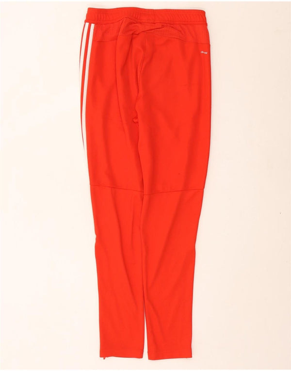 ADIDAS Pantalon de survêtement Climacool pour femme UK 10 Small Rouge Polyester