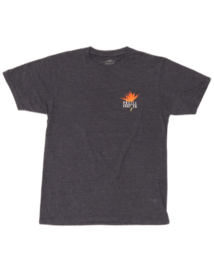 O'Neill T-shirt graphique coupe moderne pour homme, petit, gris, coton