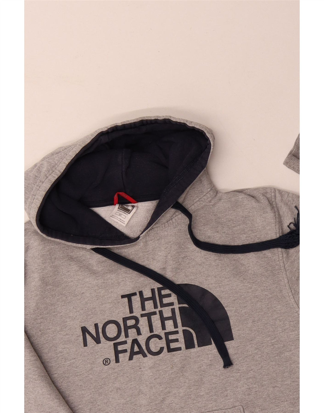 THE NORTH FACE Pull à capuche graphique pour homme Petit coton gris