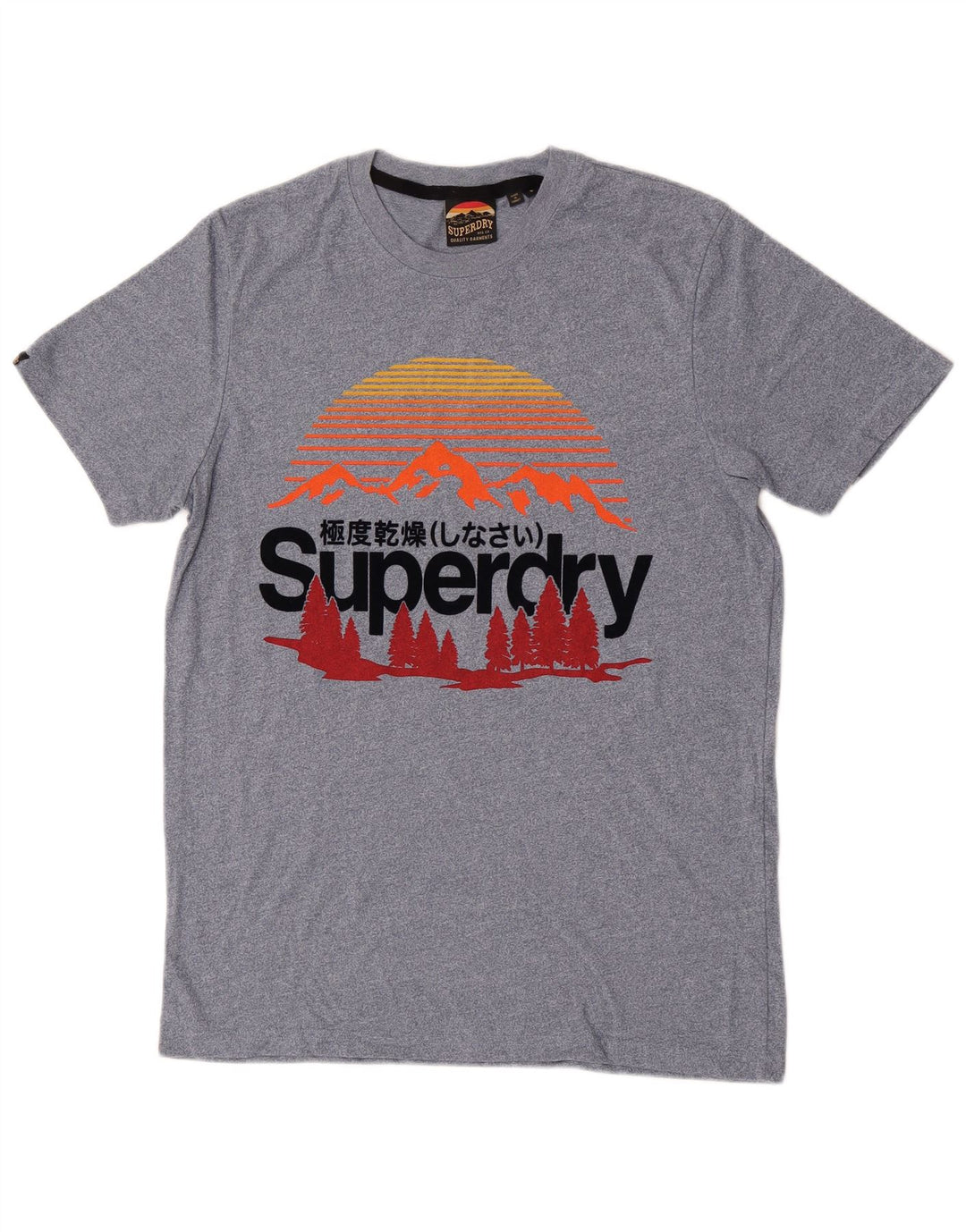 Superdry T-Shirt Graphique Homme Petit Bleu Coton