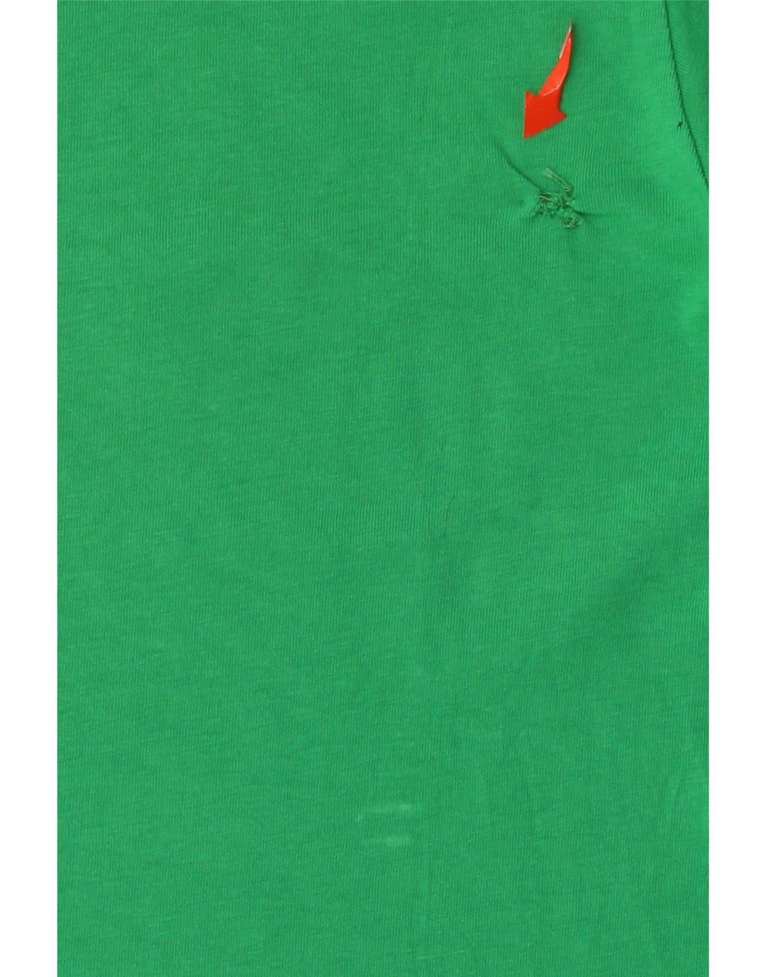 Champion T-Shirt Graphique Homme Vert Moyen Coton
