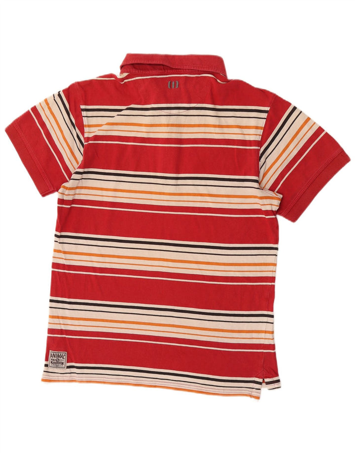 Polo Homme Animal Coton Rayé Rouge Moyen