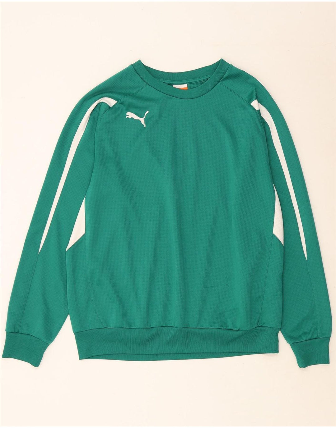 PUMA Sweat-shirt pour homme en polyester color block grand vert