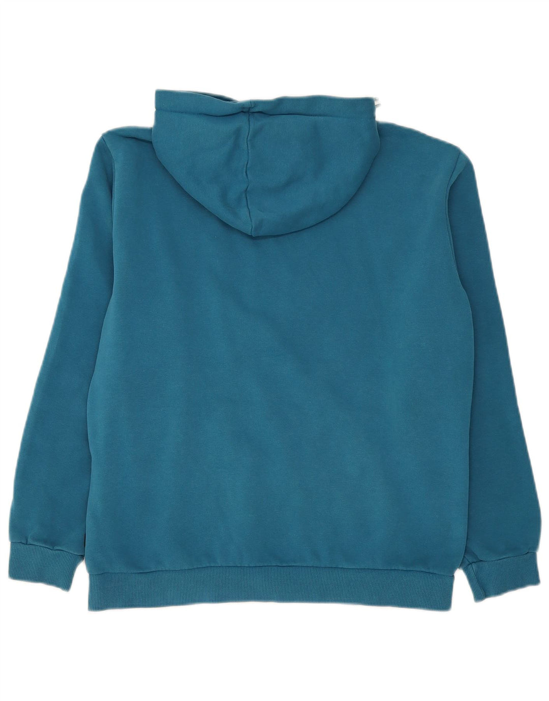 Puma Pull à Capuche Graphique Homme Bleu Moyen Coton