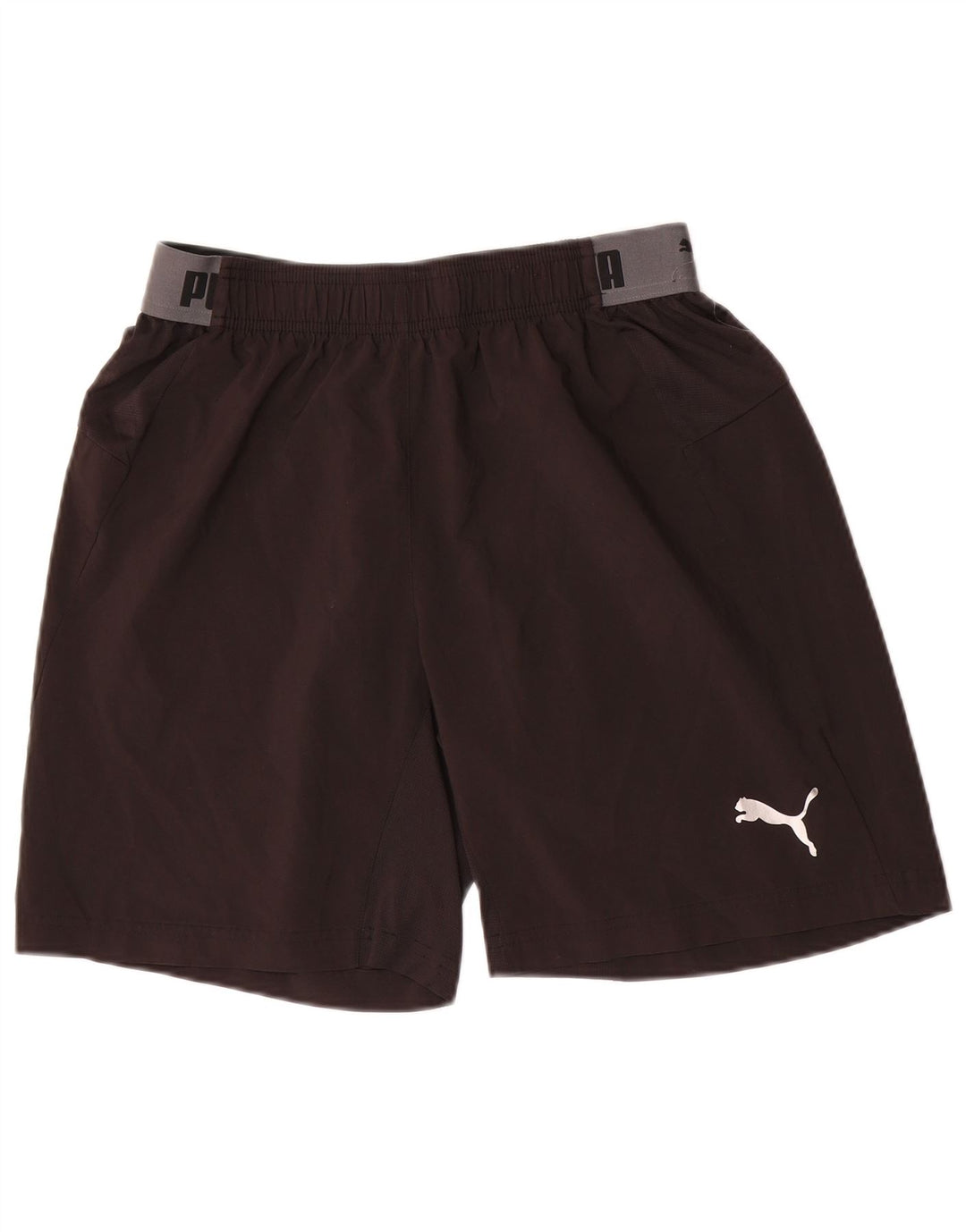 PUMA Short Graphic Sport Homme Noir Moyen