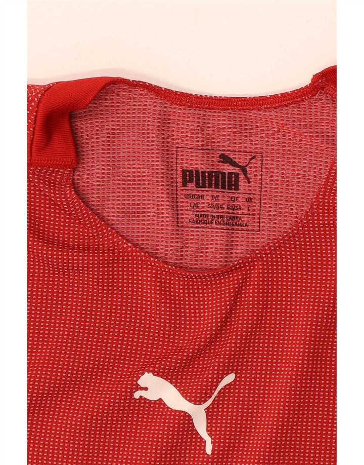 Puma T-shirt graphique pour hommes, grand, rayé rouge