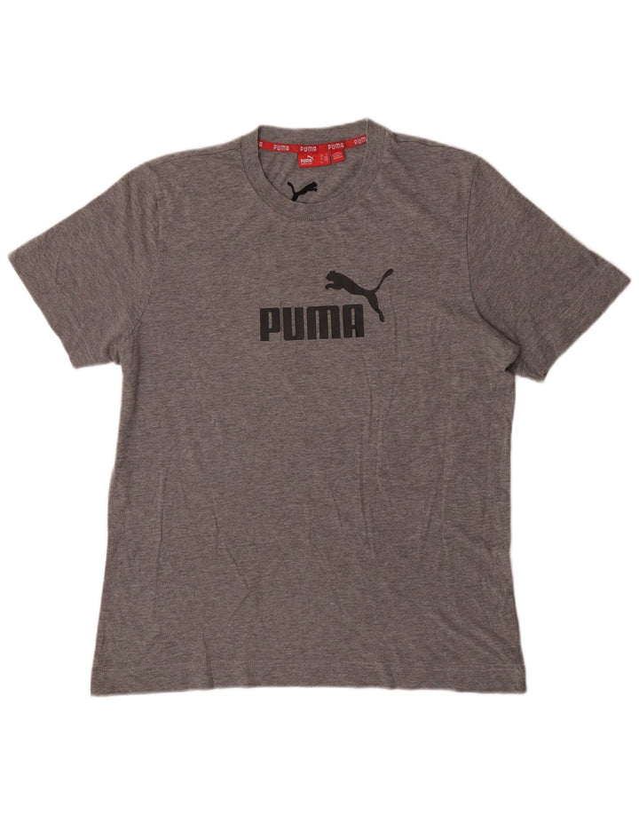 Puma Tee-Shirt Graphic Homme Gris Moyen