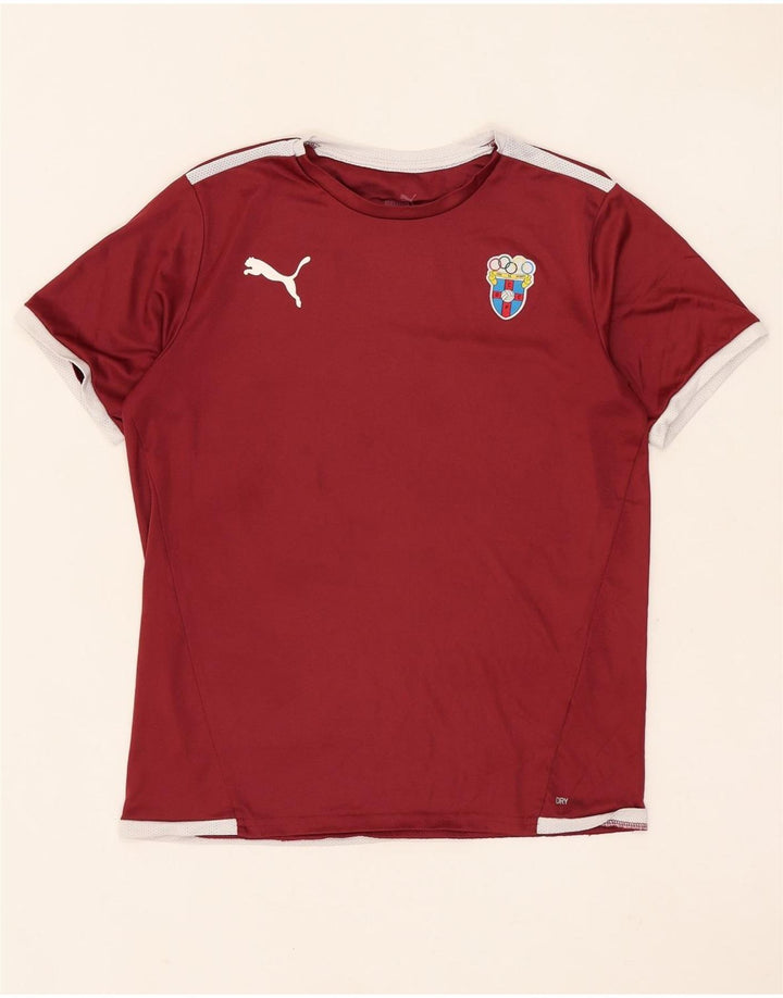 Puma T-Shirt Graphique Garçon 13-14 ans Bordeaux