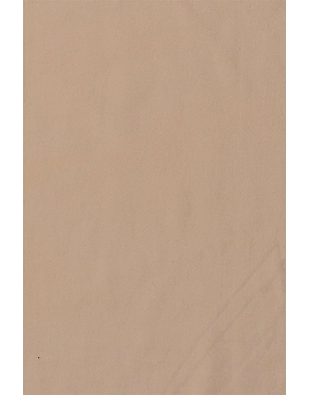 CARHARTT T-shirt graphique pour homme en coton blanc cassé