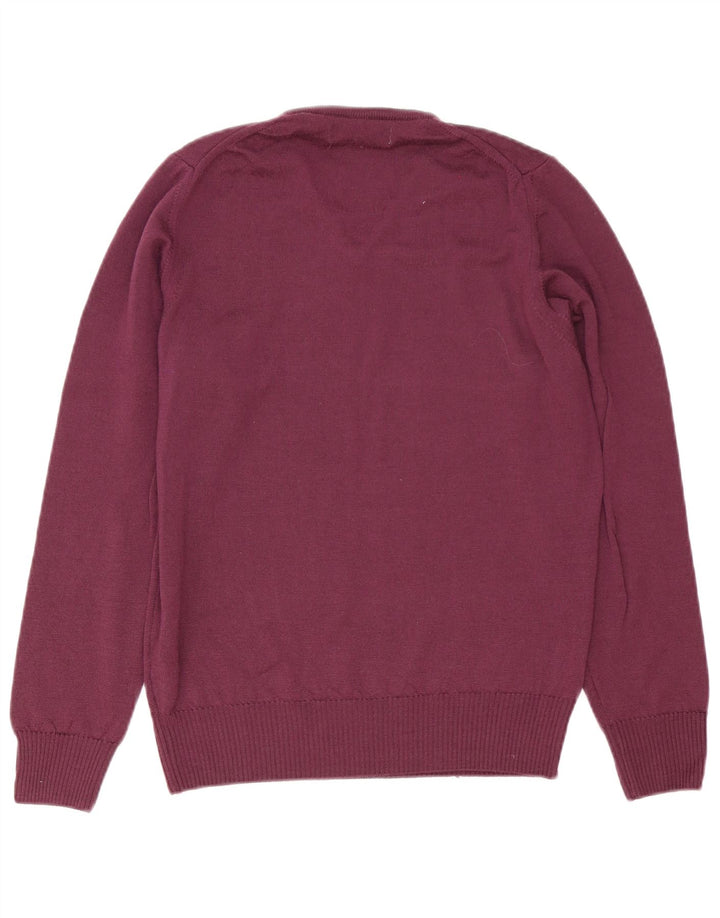 Zara Pull Col V Homme Violet Moyen