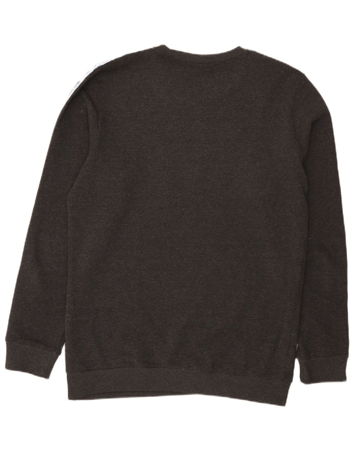Fila Sweat-shirt graphique pour hommes, grand gris, polyester color block
