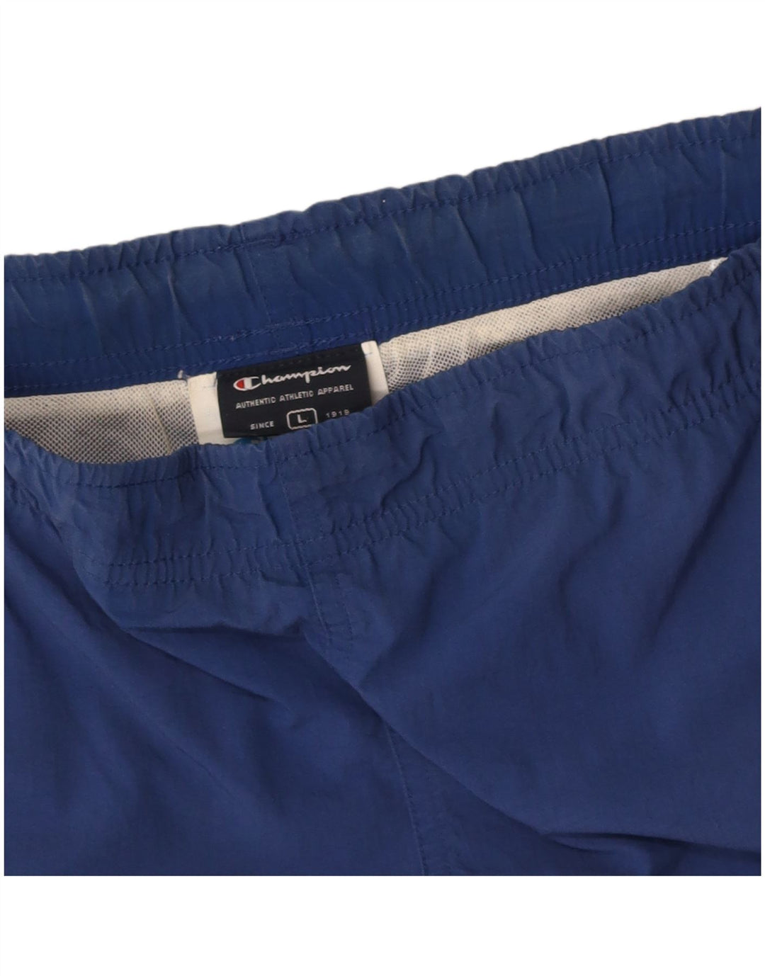 CHAMPION Mens Swimming Shorts Large Blue Polyamide
