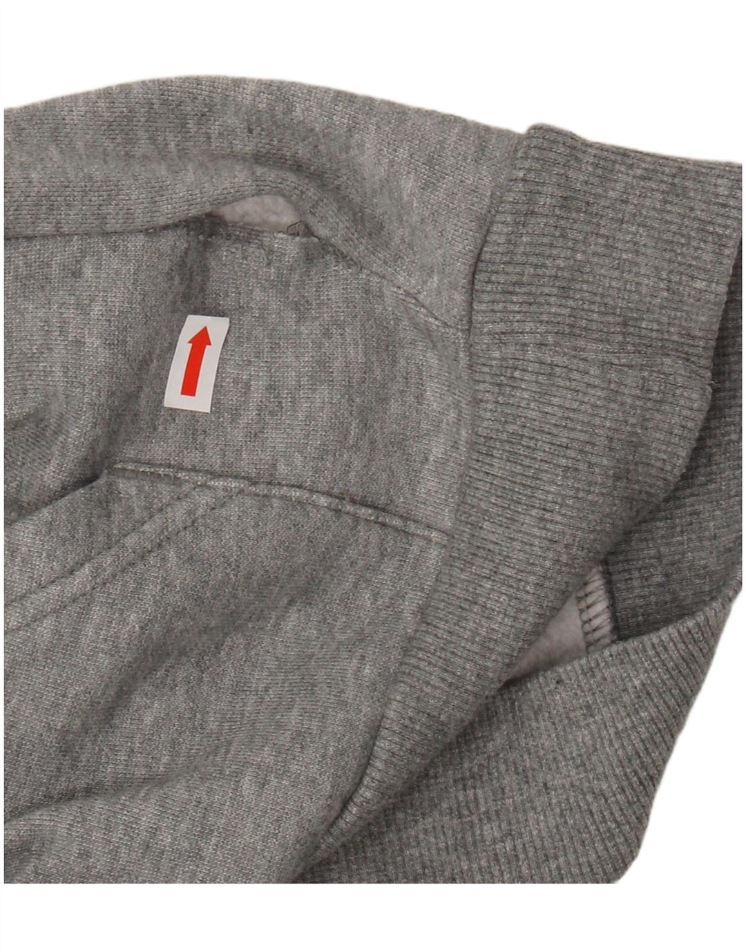 PUMA Sweat à capuche graphique pour garçon 9-10 ans Gris