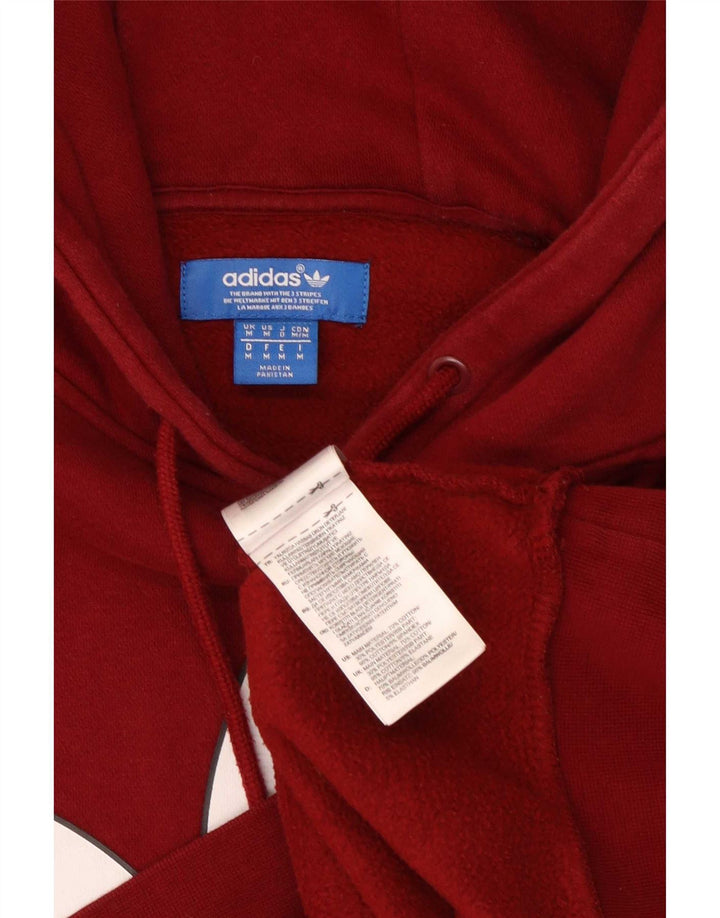 Adidas Pull à capuche graphique pour homme en coton marron moyen