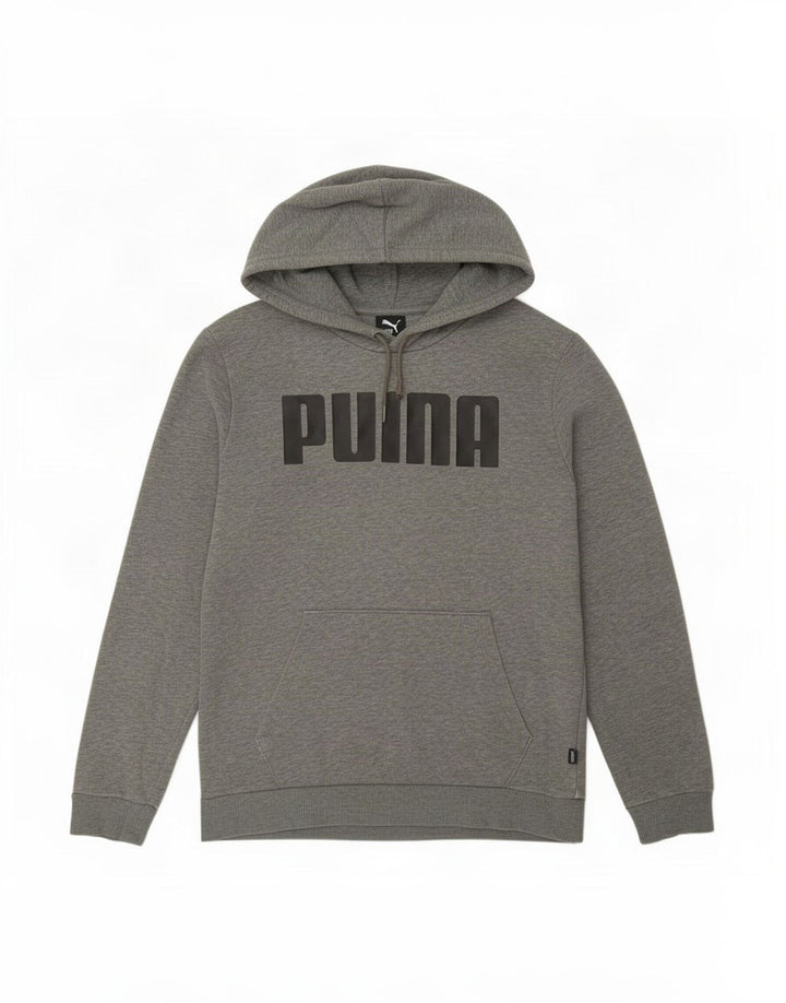 Puma Pull à Capuche Graphic Homme Gris Moyen
