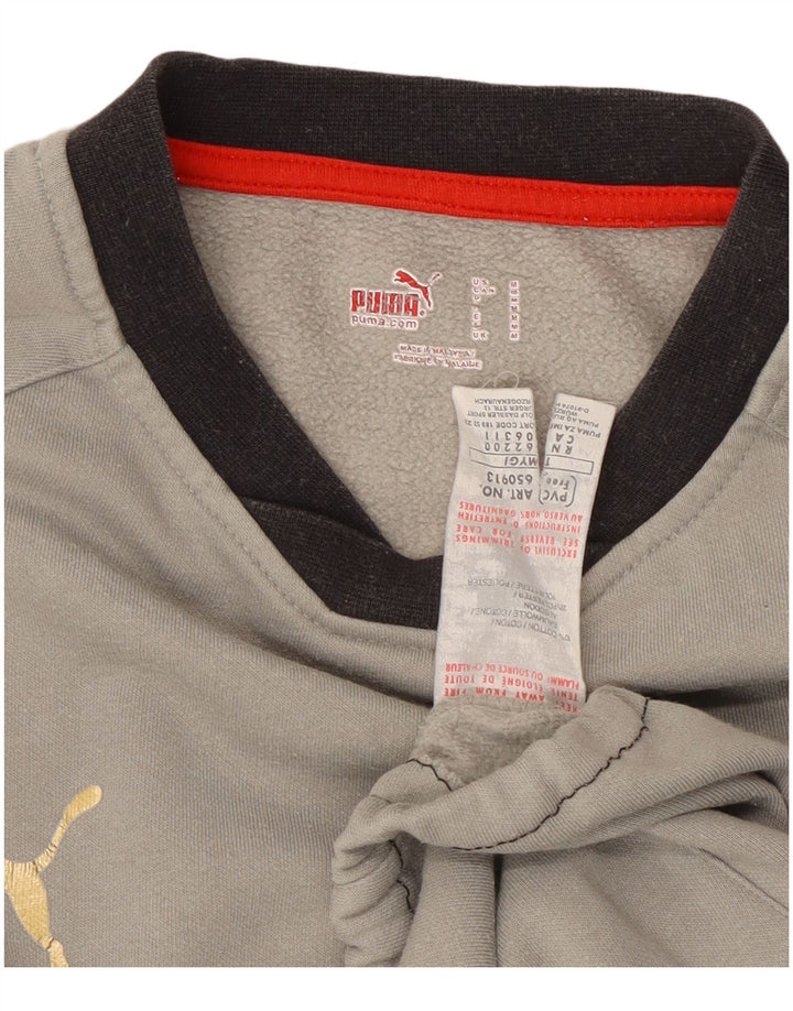 Puma Sweat-Shirt Homme Gris Moyen Colourblock Cotton