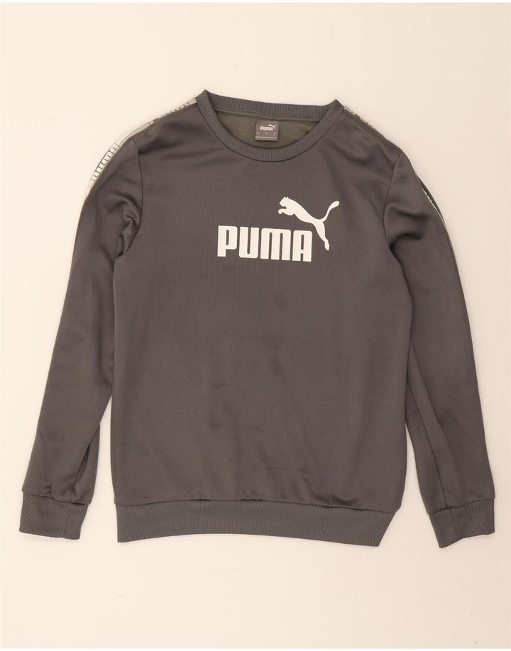 Puma Sweat-shirt graphique pour homme, petit, gris, polyester