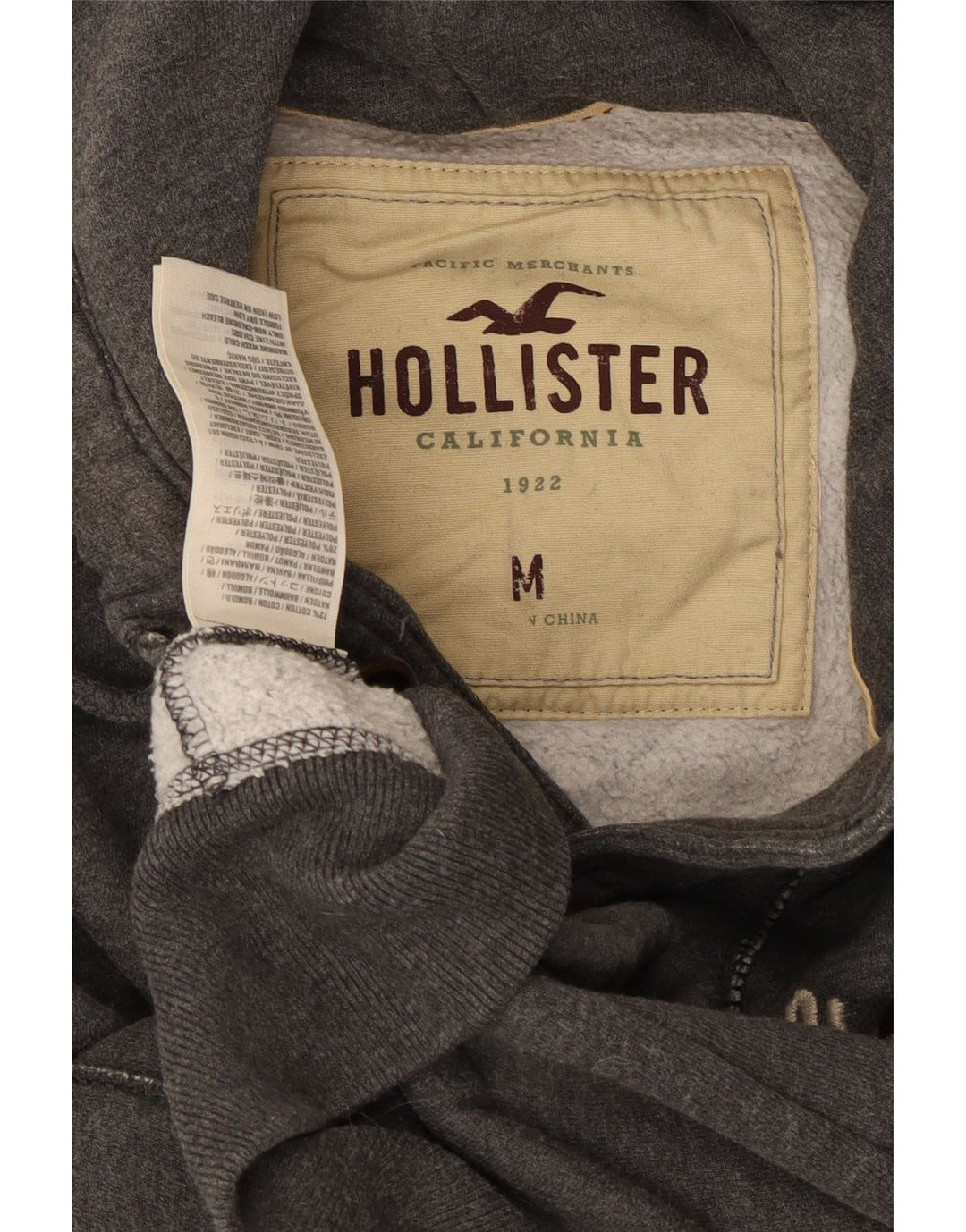 HOLLISTER Veste de Survêtement Graphique à Capuche Homme Gris Moyen Coton
