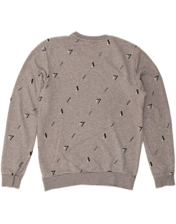 ADIDAS Sweat-Shirt Graphique Homme Gris Moyen Coton