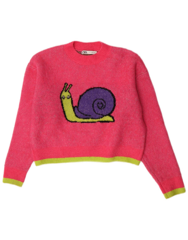Zara Womens Crop Graphic Crew Neck Jumper Pull UK 10 Petit Rose