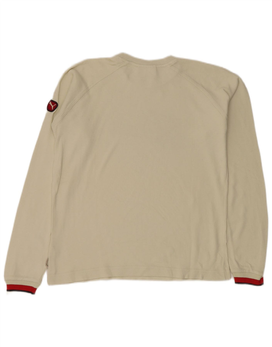 Puma Haut graphique à manches longues pour homme Petit coton blanc